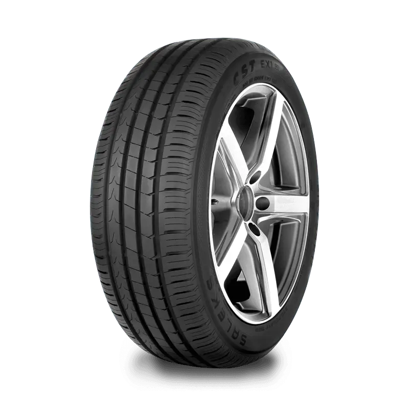 CST SALEKS E-X1