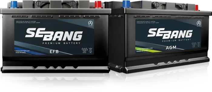 EFB Type Series — SEBANG battery